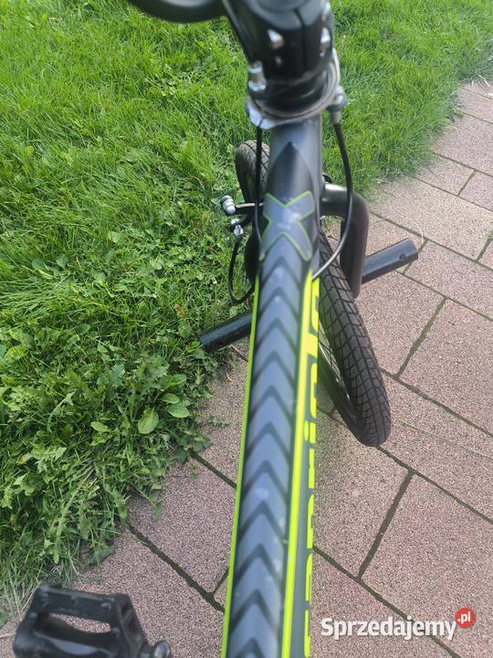 Rower BMX 20 Capriolo Totem Pegi Stan wielkopolskie Mosina