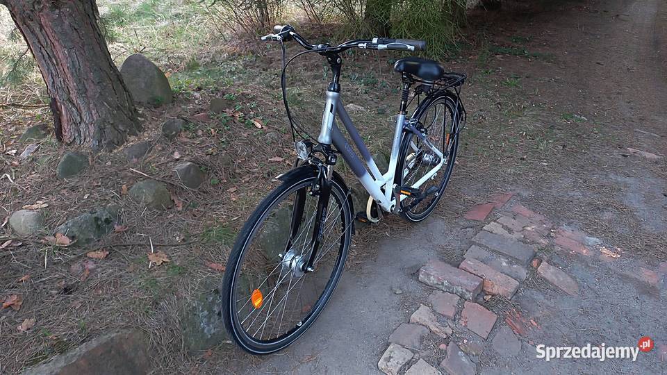 Alu Rower Miejski Damski Curtis Damka Nexus 7 Wołów