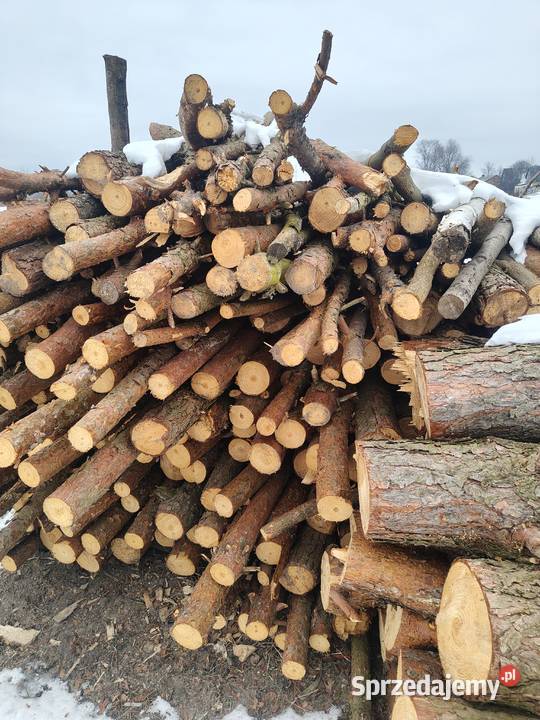 Sprzedam drzewo opałowe sosna Linów sprzedam