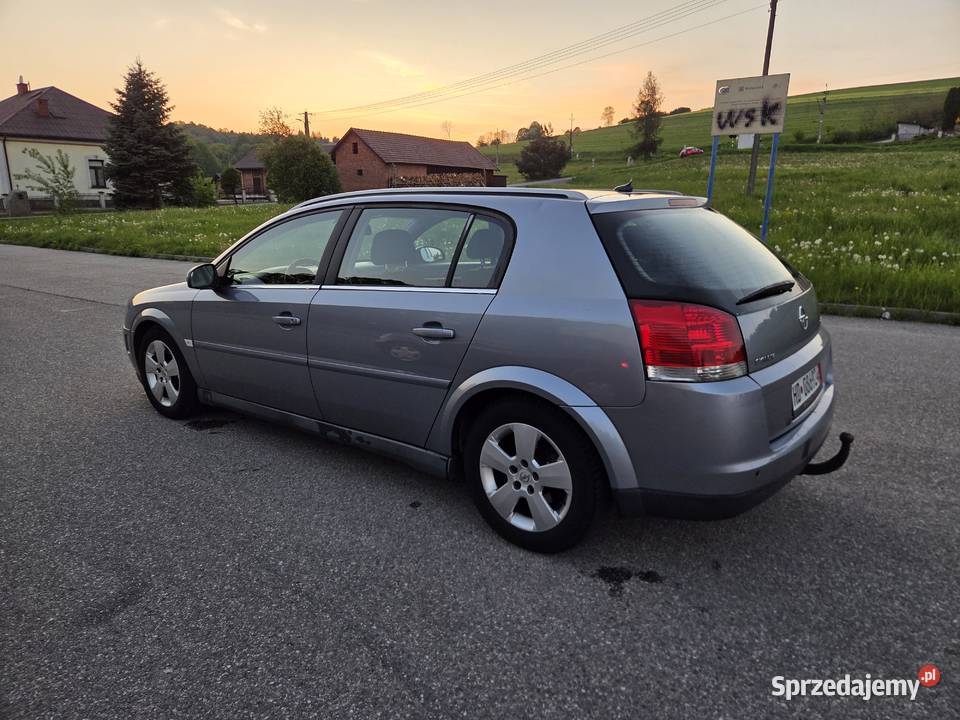 Opel Signum 22 DTI 125 HAK Bezwypadkowy Ładny Signum Nowy Sącz
