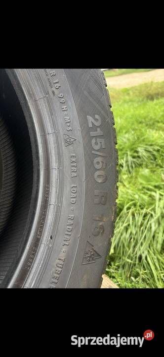 Opony zimowe 2156016 Pirelli