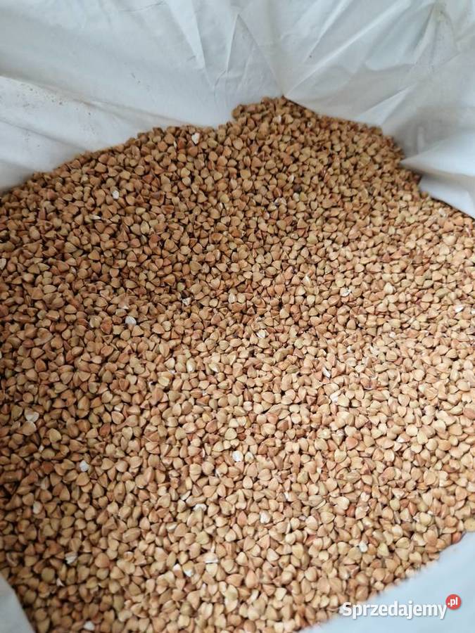 Kasza gryczana palona tradycyjnie naturalnie Dratów