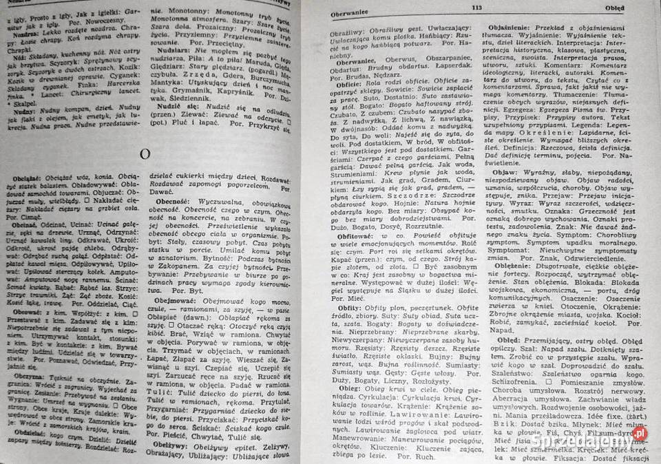 Słownik wyrazów bliskoznacznych Stanisław