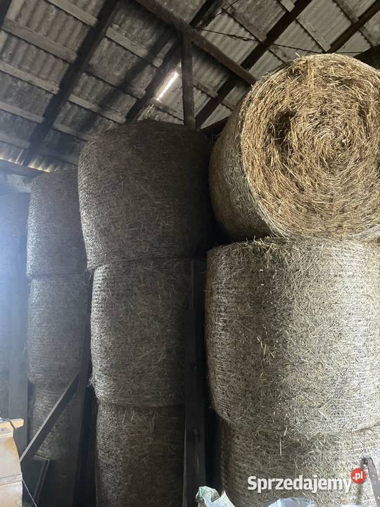 Sprzedam slome Białynin-Latków