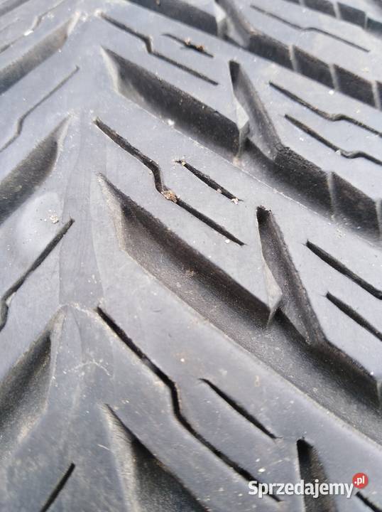 Opony 2055516 all seasons Nokian 205 Pakosław