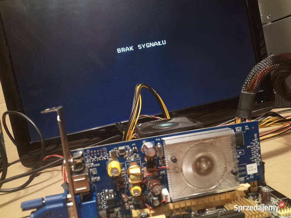 Karta Graficzna Nvidia GeForce 7300 LE 256 MB wielkopolskie Poznań