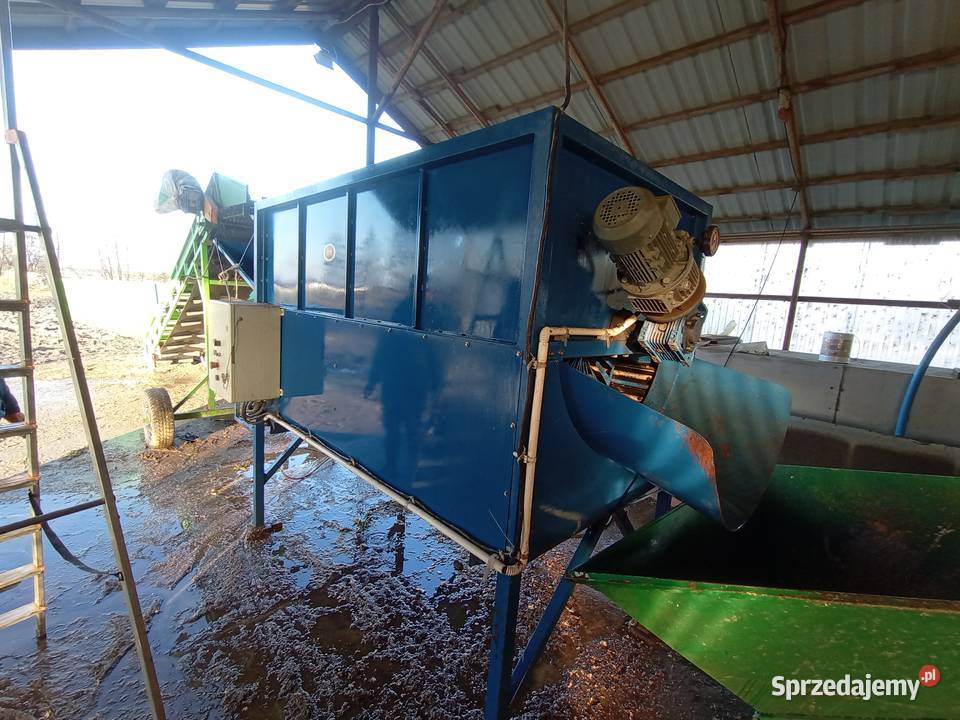 Czyszczarka obrabrabiarka do korzeni selera Goszczanów