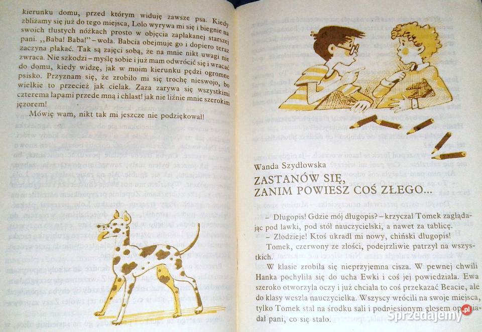 Czy pan nie widział rudego chłopca Magdalena lubelskie Chełm