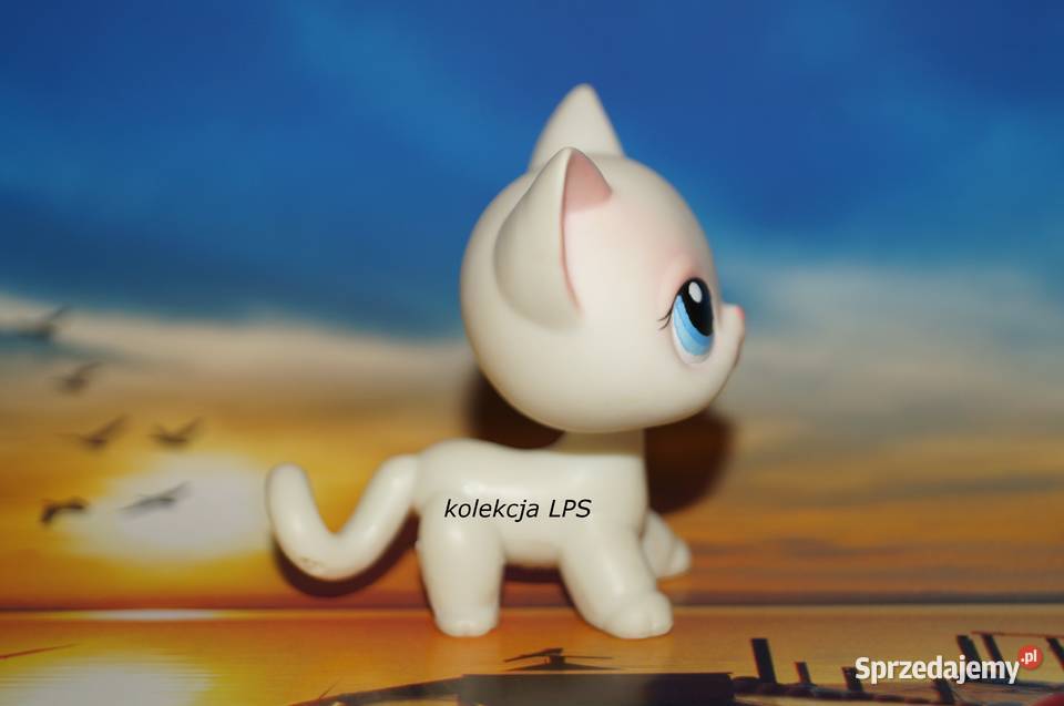 LPS Littlest Pet Shop shorthair 64 oryginalny Rybnik
