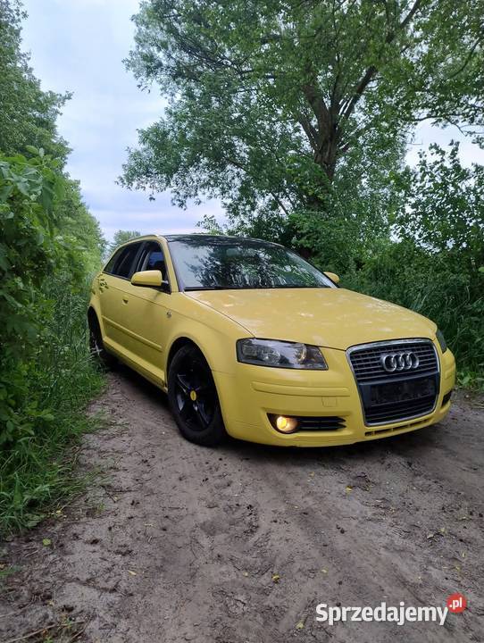 Audi a3 8p 5d A3 Rychwał