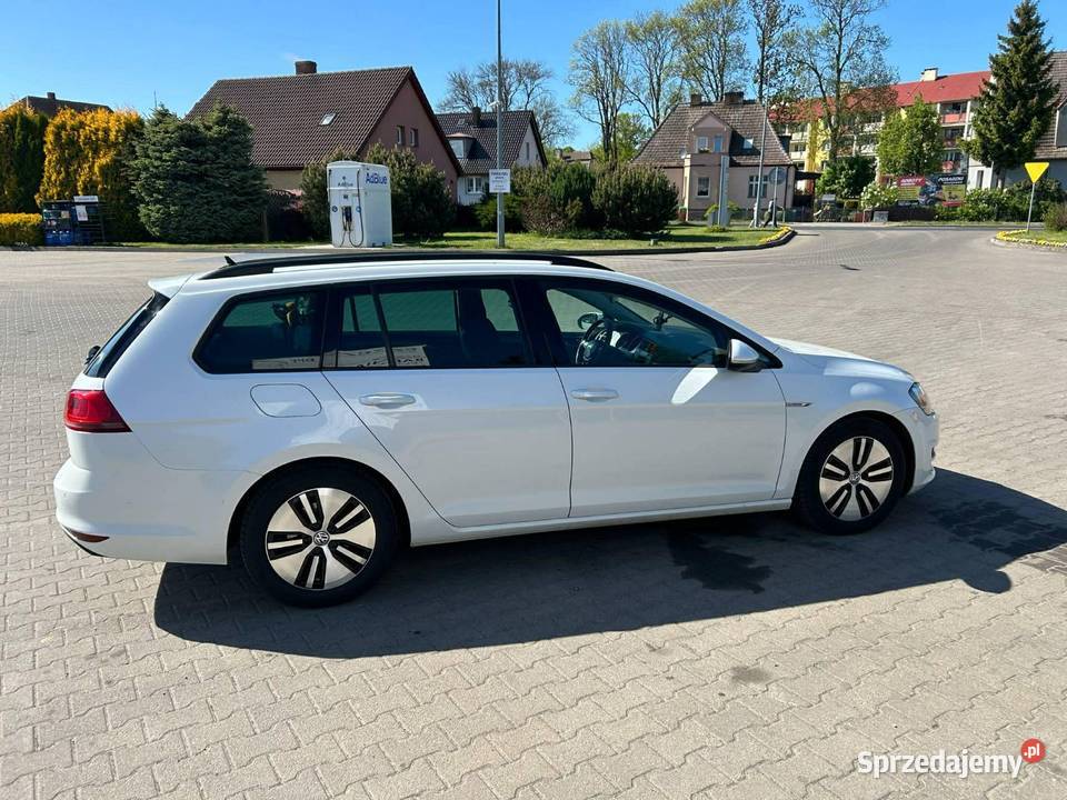 Vw golf 7 BlueMotion Gryfice sprzedam