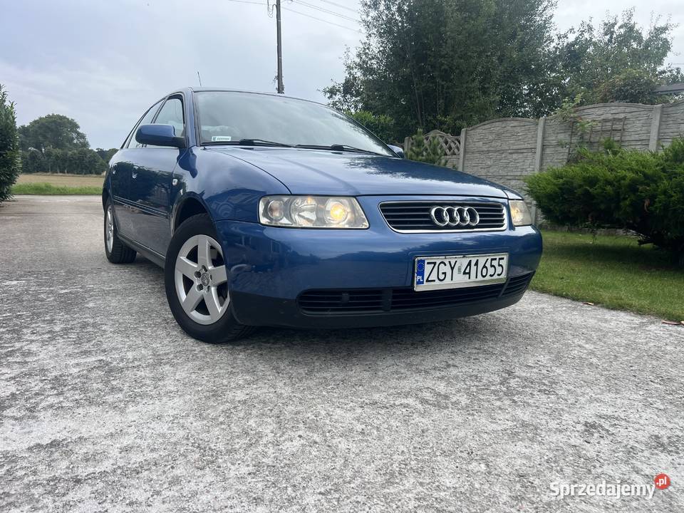 Audi A3 8L 19TDI 90 diesel Gryfice