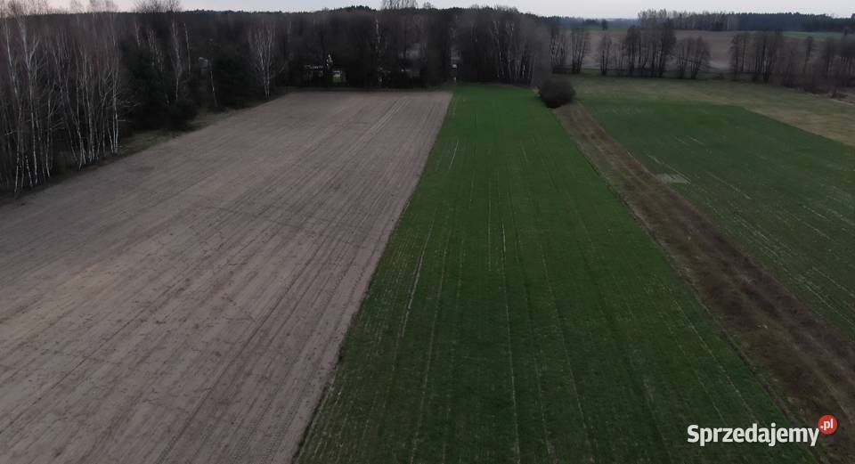 Działka rolna z możliwością budowy w uroczej Sprzedaż Bardzynin