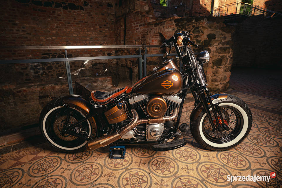 HarleyDavidson Custom Softail Cross Bones chopper