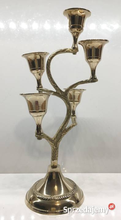 Indyjski świecznik drzewo małopolskie