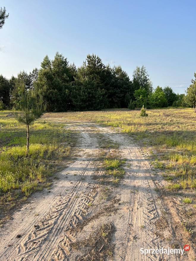 50 mter do aktu notarialnego już 25m mazowieckie sprzedam