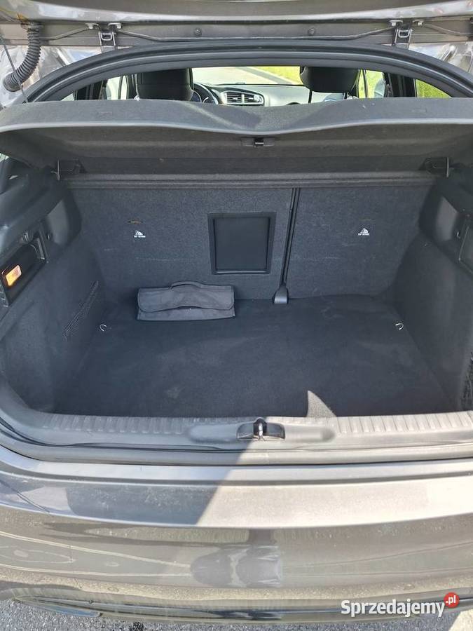 DS4 POLIFT 16 BLUEHDI