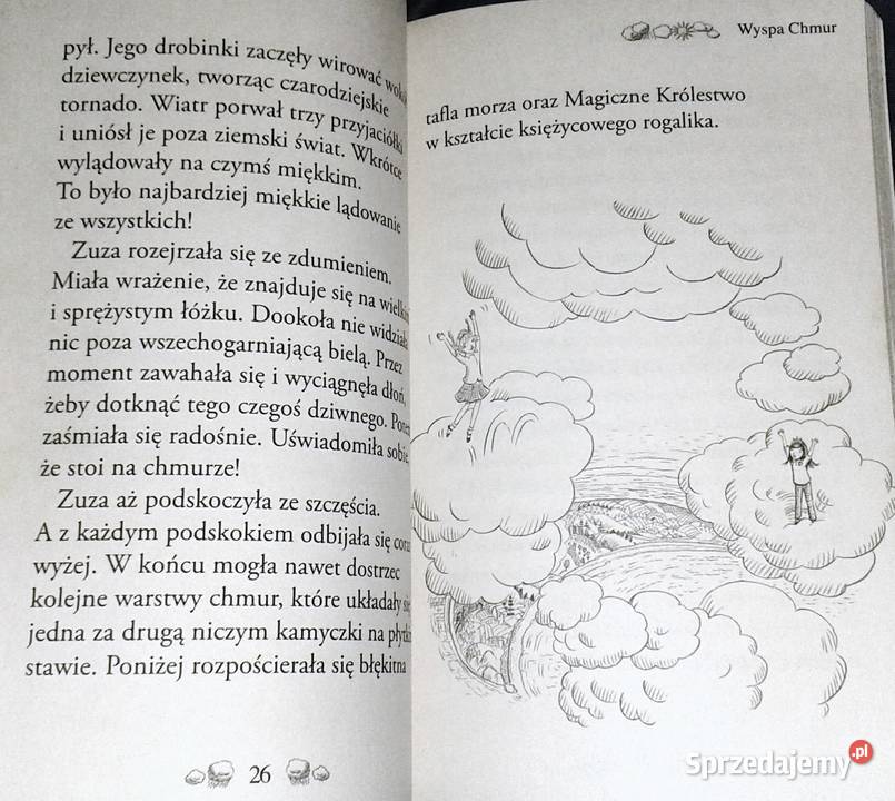 Magiczne Królestwo Wyspa Chmur Rosie Banks Rok wydania 2012 Chełm