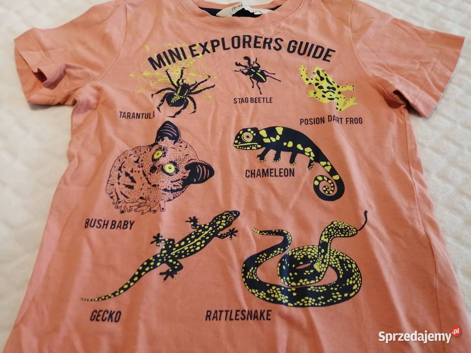 Koszulka krótki rękaw łososiowa 98104 HM Odzież chłopiec Bluzki, koszulki i kaftaniki Czeladź