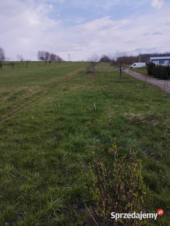 27 arów w Dobczycach małopolskie Dobczyce