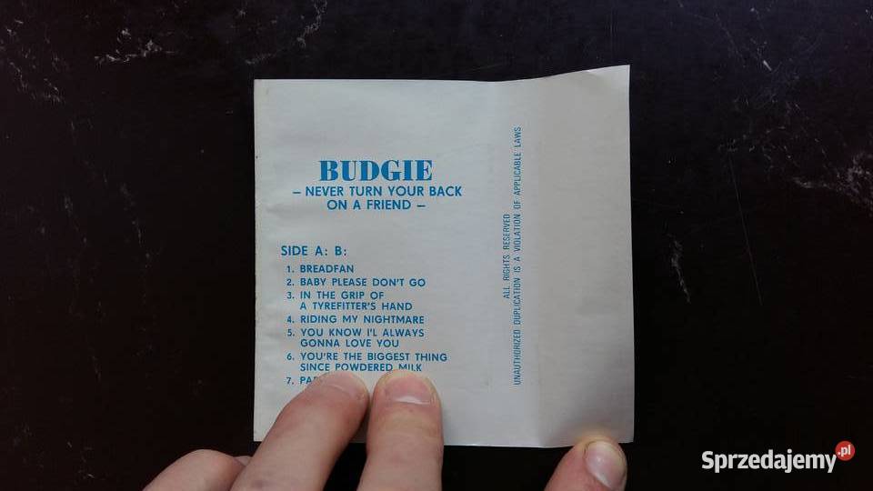 Kaseta Budgie Never turn Your back on a Friend Siemiatycze