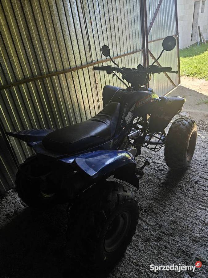 Bashan 200 manual Bashan Brzostek