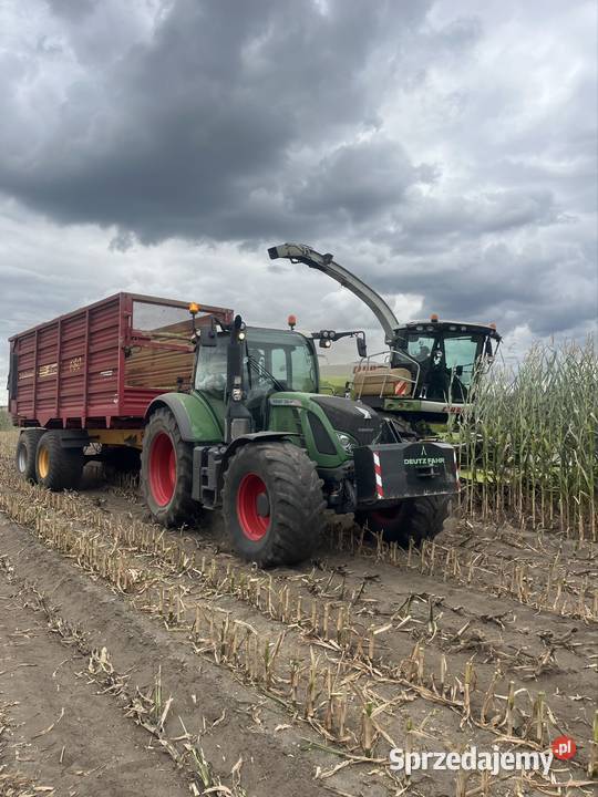 Koszenie kukurydzy Claas Jaguar veenhuis Fendt łódzkie