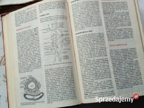 Domowy poradnik medyczny medycyna zdrowie Łódź sprzedam