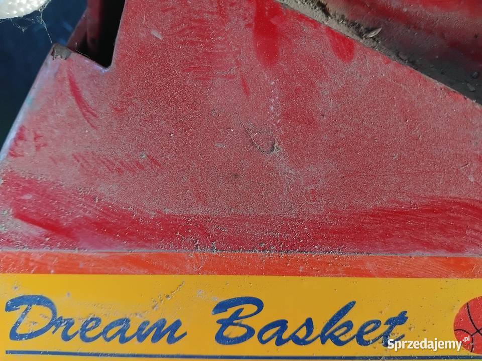 Kosz do koszykówki Ptaszkowa