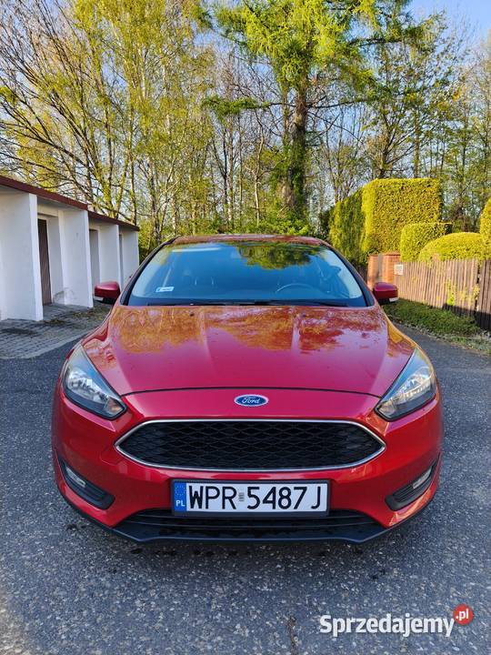 Ford Focus 15 EcoBoost Trend Sport ASS 150KM Międzyrzecze Górne