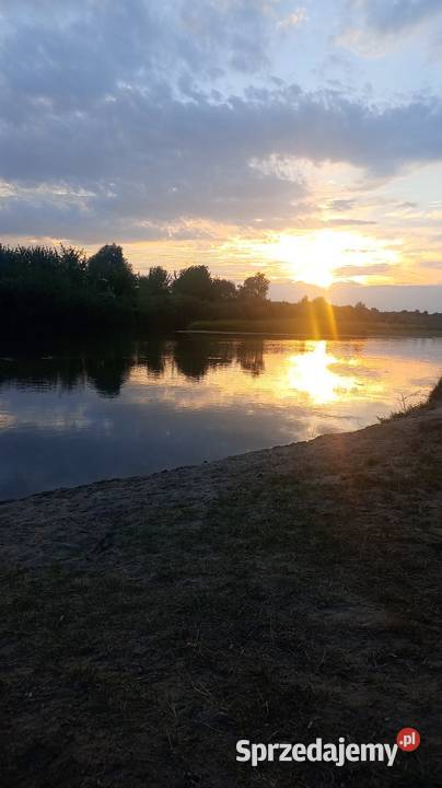 Kajaki rzeką Bug majówka Korczew