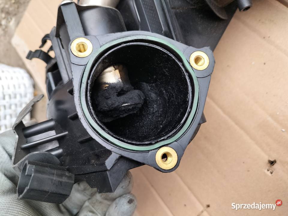BMW 1 E87 7810742 KOLEKTOR SSĄCY Kamień-Kolonia