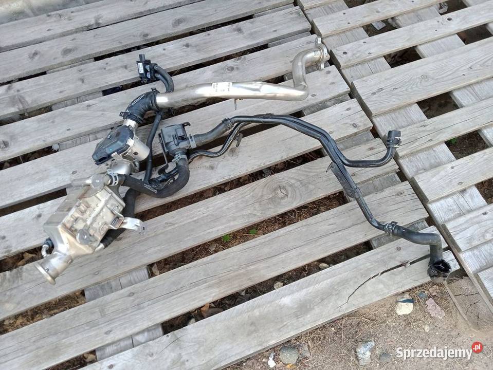 CHŁODNICA SPALIN AUDI A7 S7 A5 8W 059131508AL 30 Rakoniewice