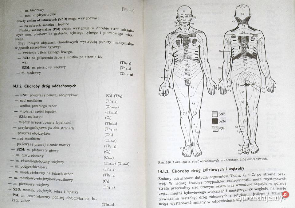 Podstawy masażu leczniczego Zygmunt Prochowicz Chełm