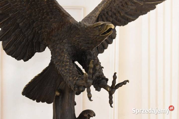 Atakujący Orzeł z Rozłożonymi Skrzydłami Rysunek i rzeźba Nauka i korepetycje