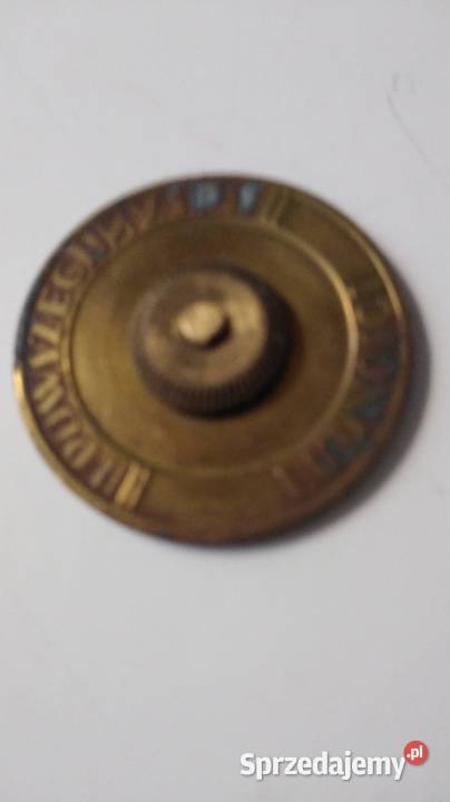 Oficjalną Pracę 1931 małopolskie Kraków