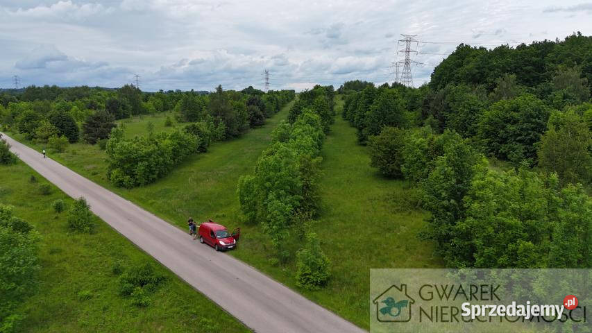 Działka 59500m2 Toporowice śląskie