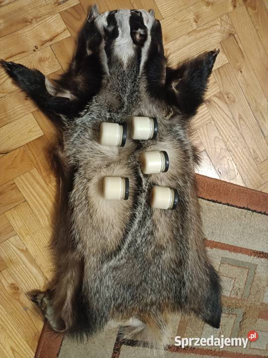 Sadło z borsuka myśliwego Jeżowe sprzedam