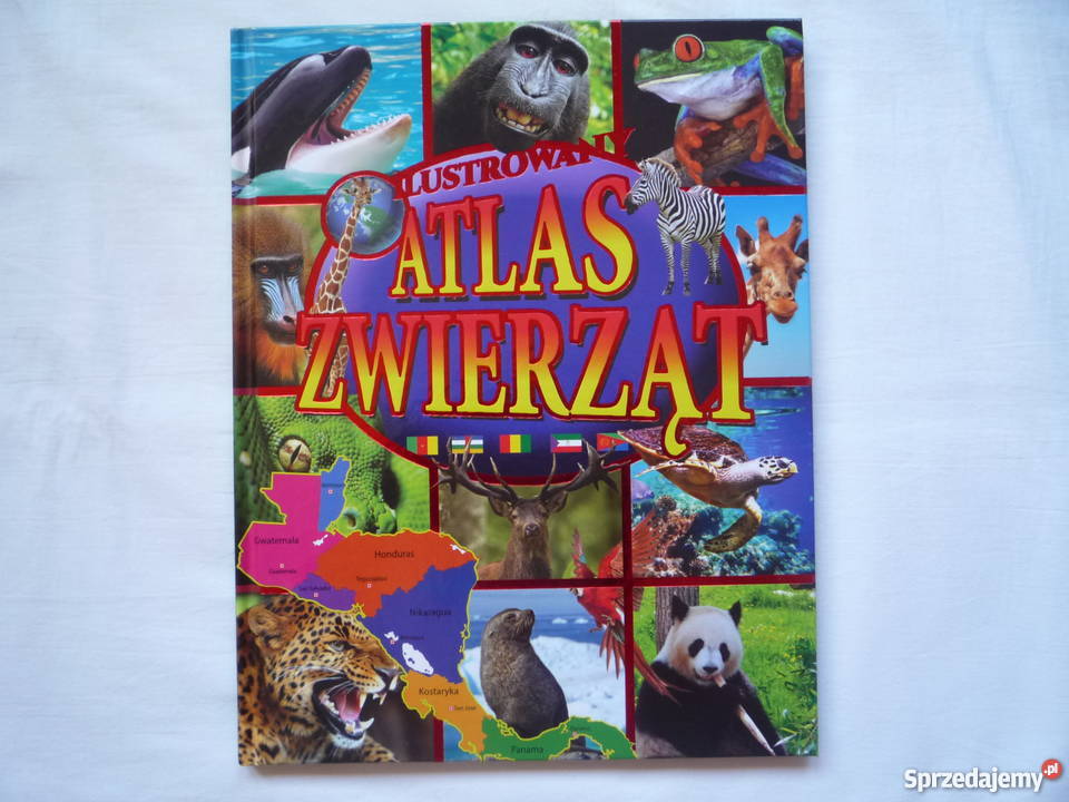 NOWA Ilustrowany Atlas Zwierząt Album Twarda Książki dla dzieci Szczecin