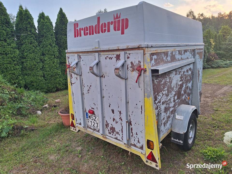 Przyczepa Brenderup Motoryzacja Szydłowiec