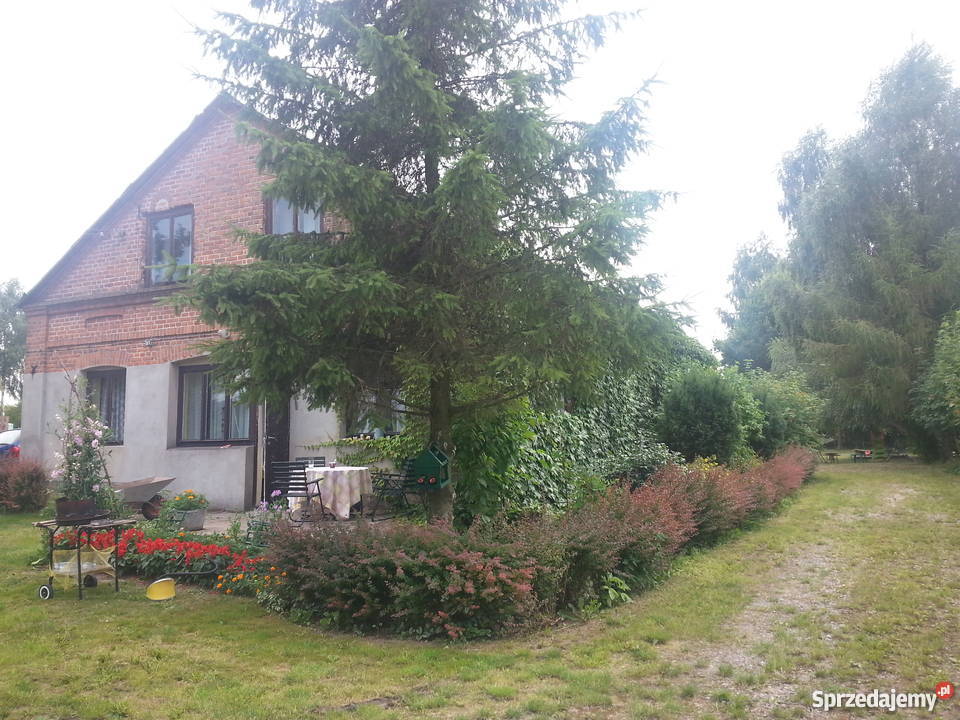 Sprzedam gospodarstwo rolne Domy Gruszka Zaporska