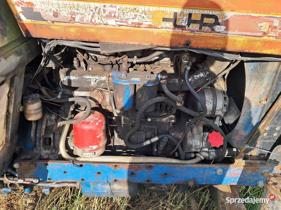 ursus C 385 de luxe Płoty