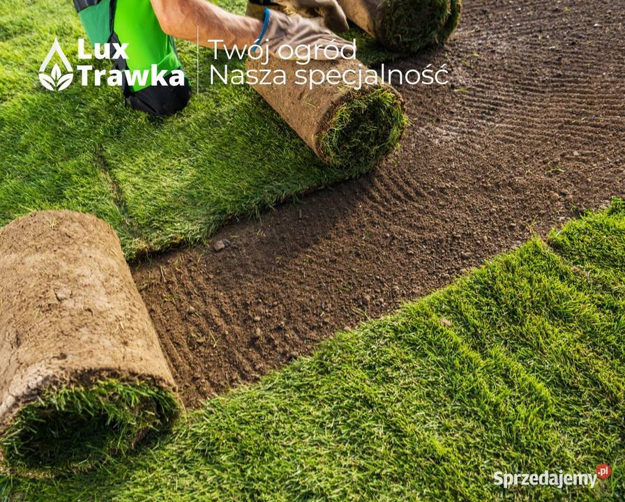 Trawa w rolce Trawa z rolki Dostawa MAŁOPOLSKA Krynica-Zdrój
