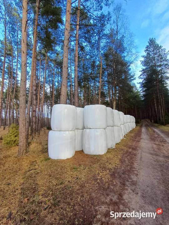 baloty 120x120 pomorskie Zielona Chocina sprzedam