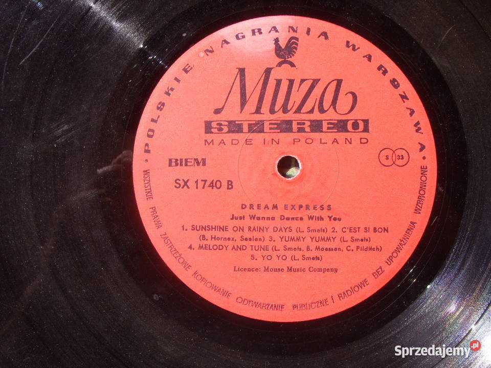 Dance LP DREAM EXPRESS2 plyty winylowe płyta winylowa Wołów sprzedam