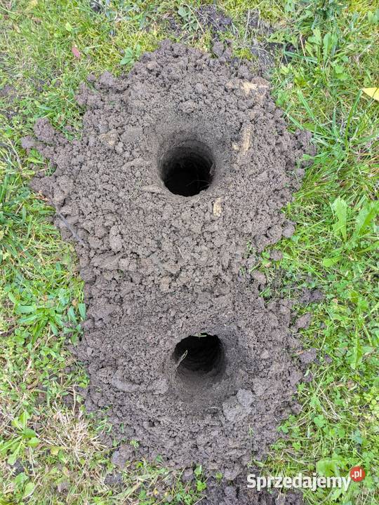 Wynajem glebowa wiertnica spalinowa Wilkszyn sprzedam