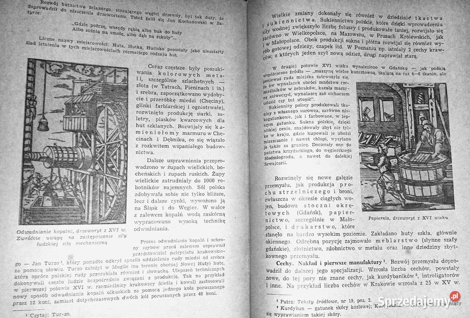 Historia Polski do roku 1795 Helena Michnik lubelskie