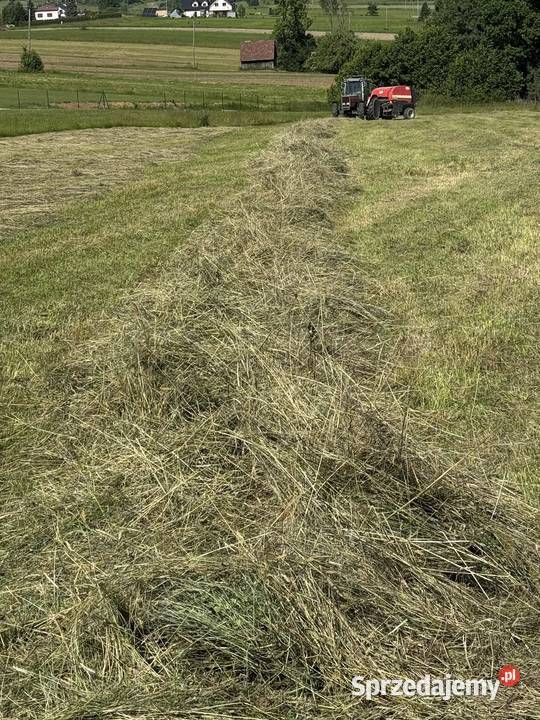 Siano Bele siana 120x130 TRANSPORT małopolskie