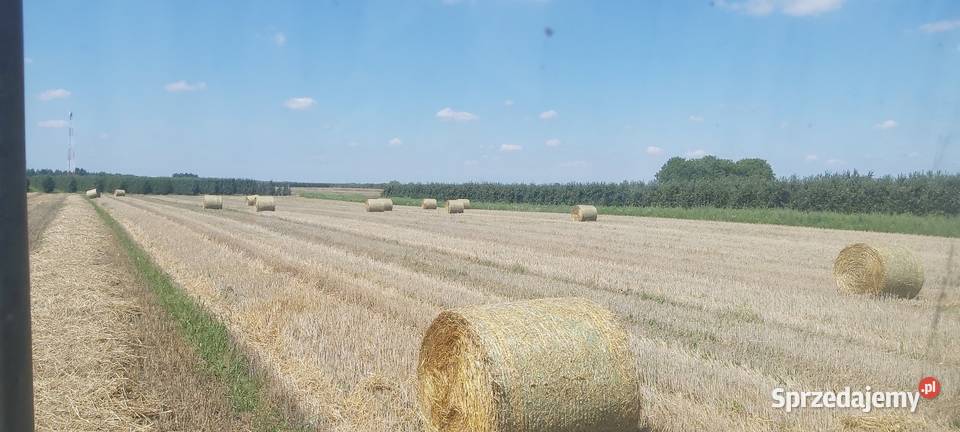 Sprzedam słomę pszenna owsiana świętokrzyskie Wojcieszyce