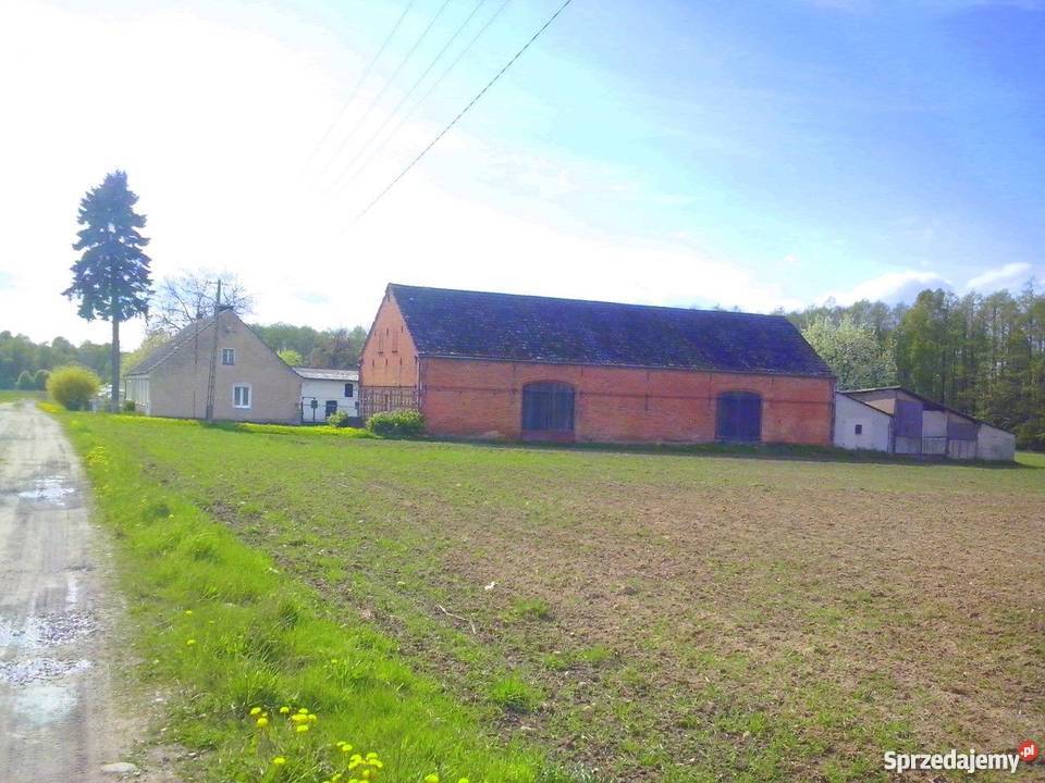 Gospodarstwo rolne w pobliżu wybrzeża Bałtyku Witolub sprzedam